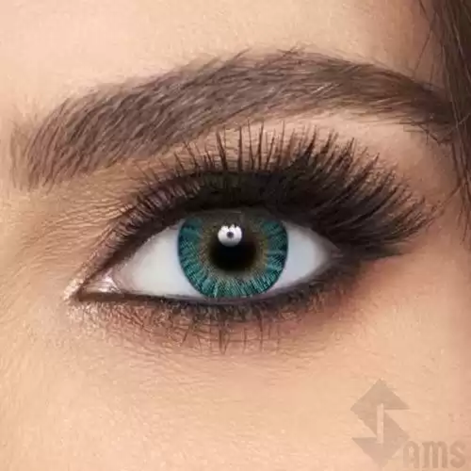 Freshlook Contact LensesTurquoise1.webp